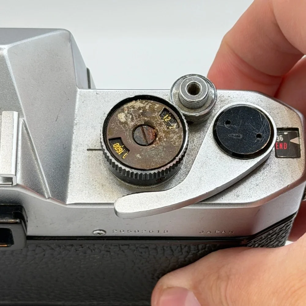 Yashica lot three